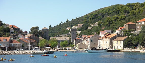 Экскурсия на лодке по трем островам с обедом из Дубровника